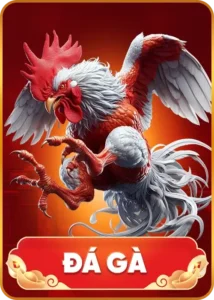 98win-sanh-da-ga