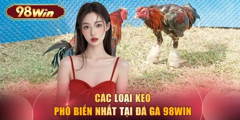 Các loại kèo phổ biến nhất tại đá gà 98WIN