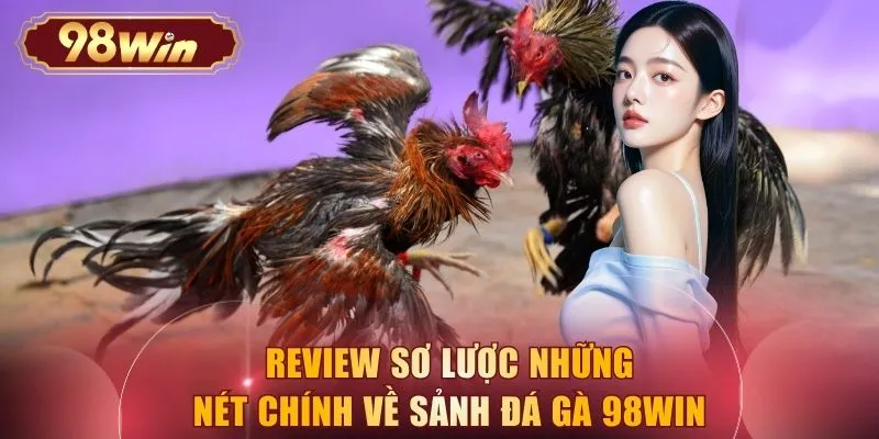 Review sơ lược những nét chính về sảnh đá gà 98WIN